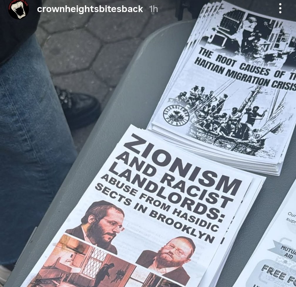Crown Heights hate group (screengrab)